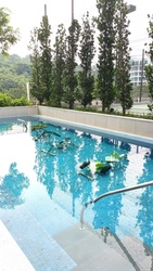 The Hillier (D23), Apartment #505562011